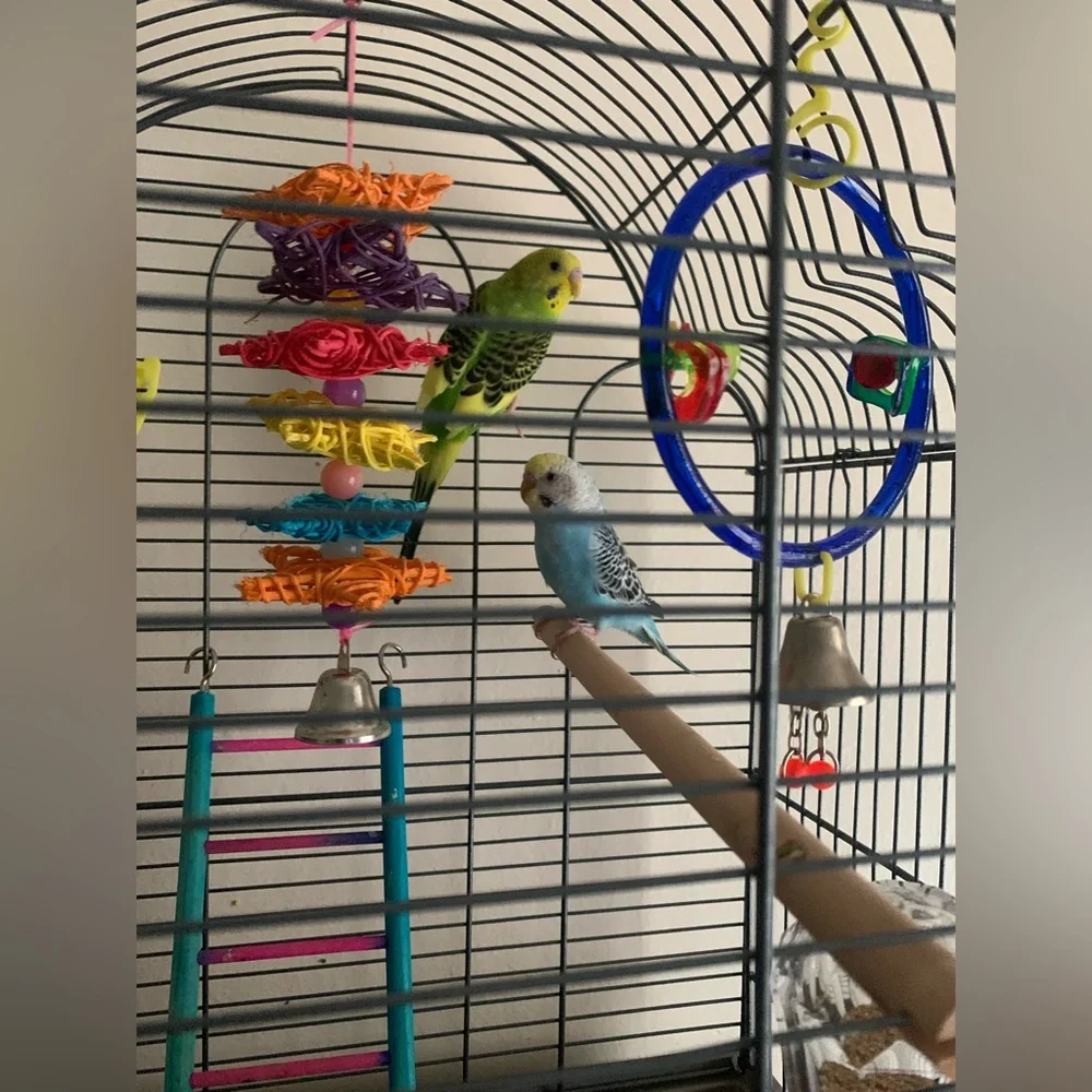 Get to know EzmeCrafts  🫶🏼 - Picture 5 of 8